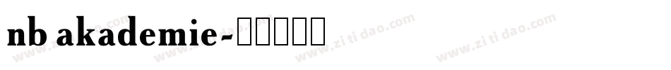 nb akademie字体转换